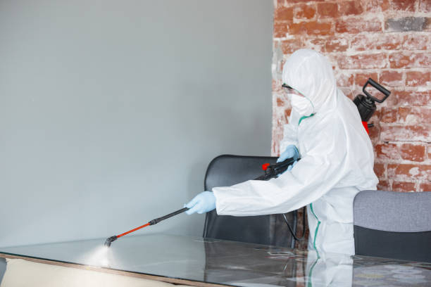 Best Forensic Mold Investigation  in Newark, IL